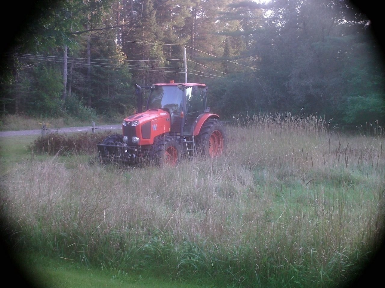 An orange and black tractor is parked in a grassy field near a forested area